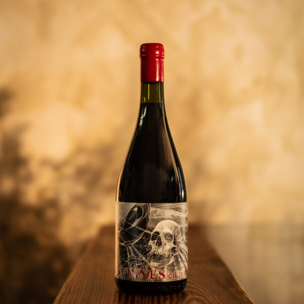 Vinyes Ocults Cot Malbec 2023, Argentina 2023